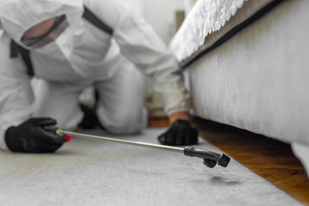 Professional Termite Control technician working in Ball Ground, GA