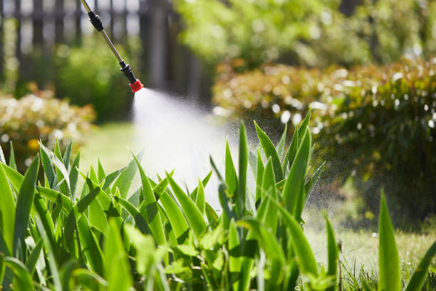 24/7 Emergency Termite Control experts in Ball Ground, GA