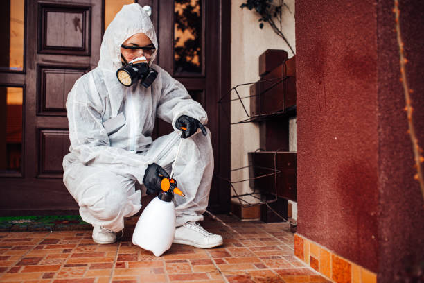 Reliable Termite Control contractor in Ball Ground, GA by Nex Pest Control
